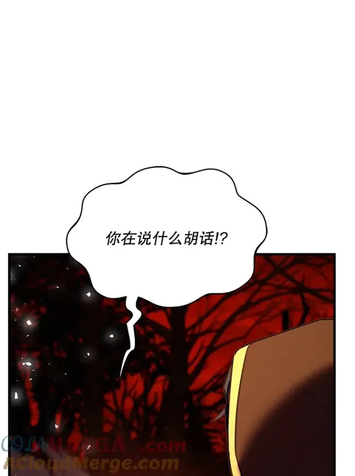 《史诗级枪骑士再临》116.复仇图153