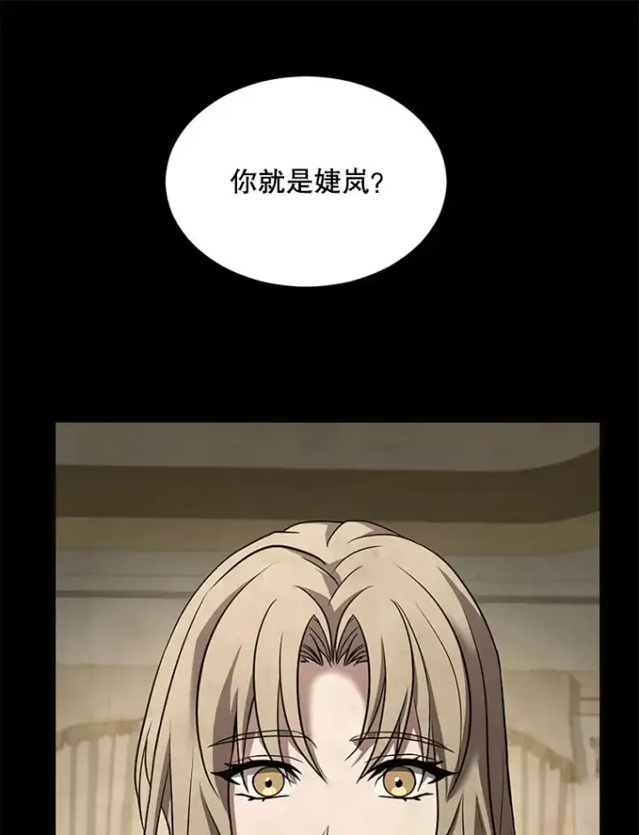 《史诗级枪骑士再临》116.复仇图163