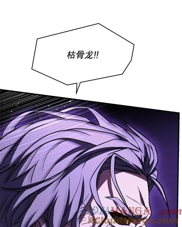 《史诗级枪骑士再临》116.复仇图17
