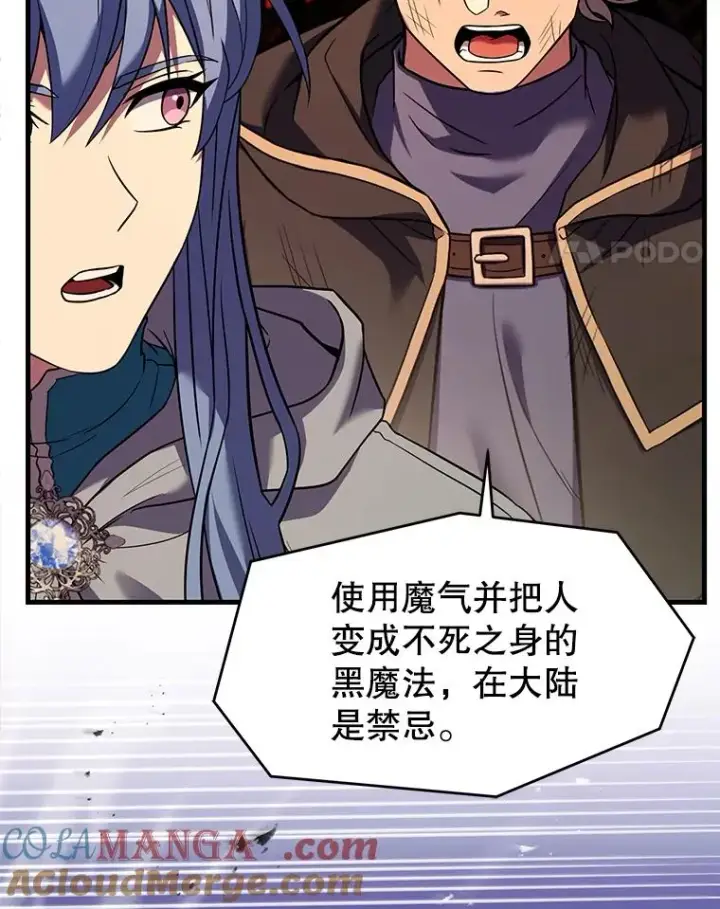 《史诗级枪骑士再临》116.复仇图45