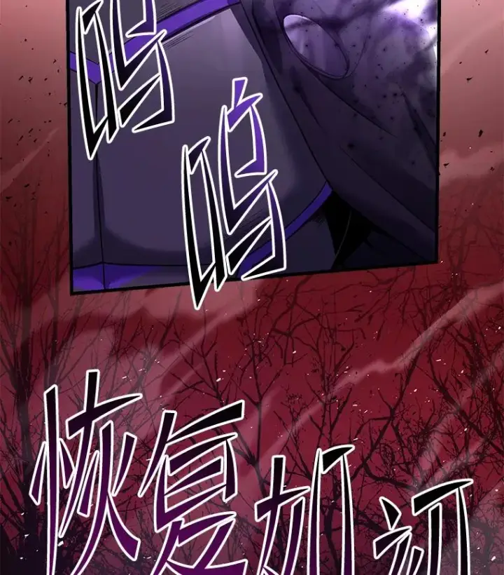 《史诗级枪骑士再临》116.复仇图63