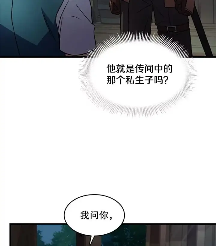 《史诗级枪骑士再临》4.初到公爵府图132
