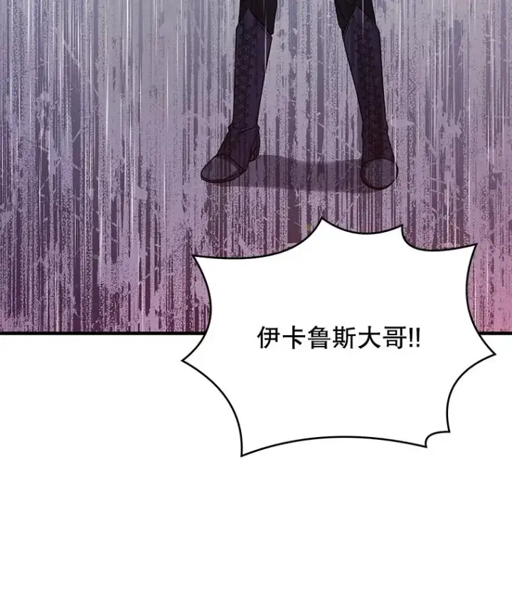 《史诗级枪骑士再临》56.计划开始图47