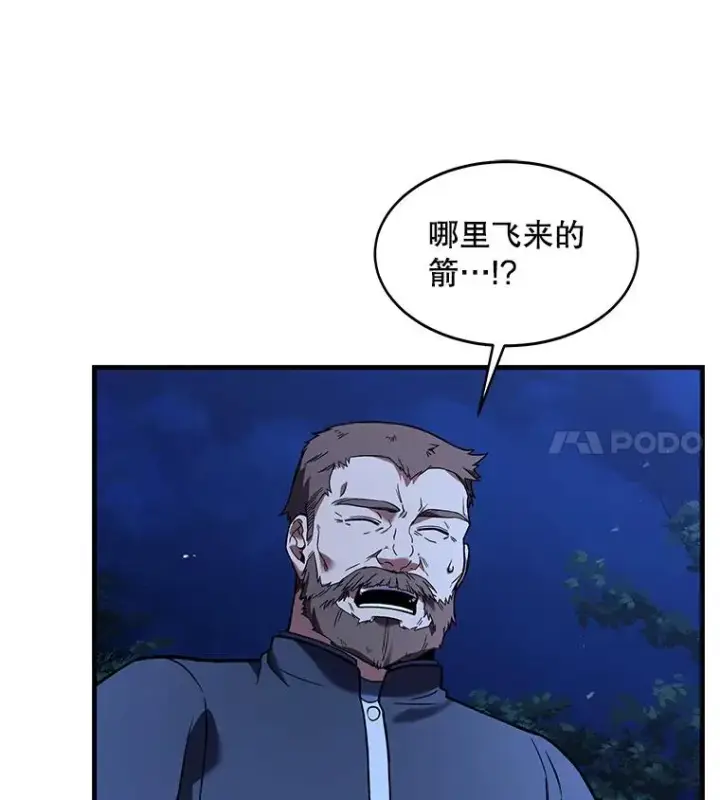 《史诗级枪骑士再临》62.守卫芬狄厄图11