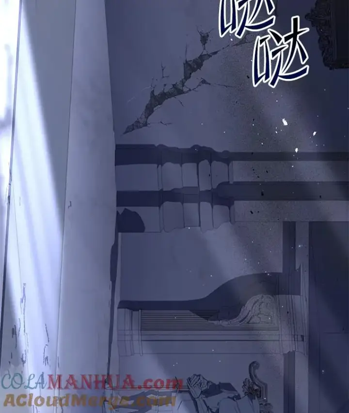《史诗级枪骑士再临》63.皇帝的阴谋图113