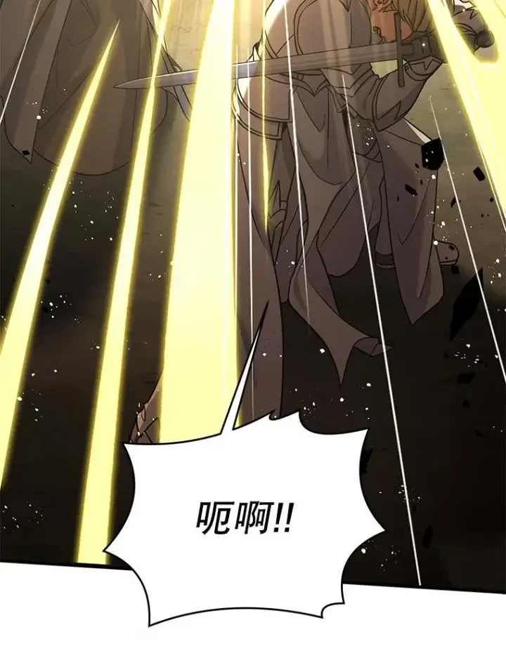 《史诗级枪骑士再临》66.对战圣骑士图152