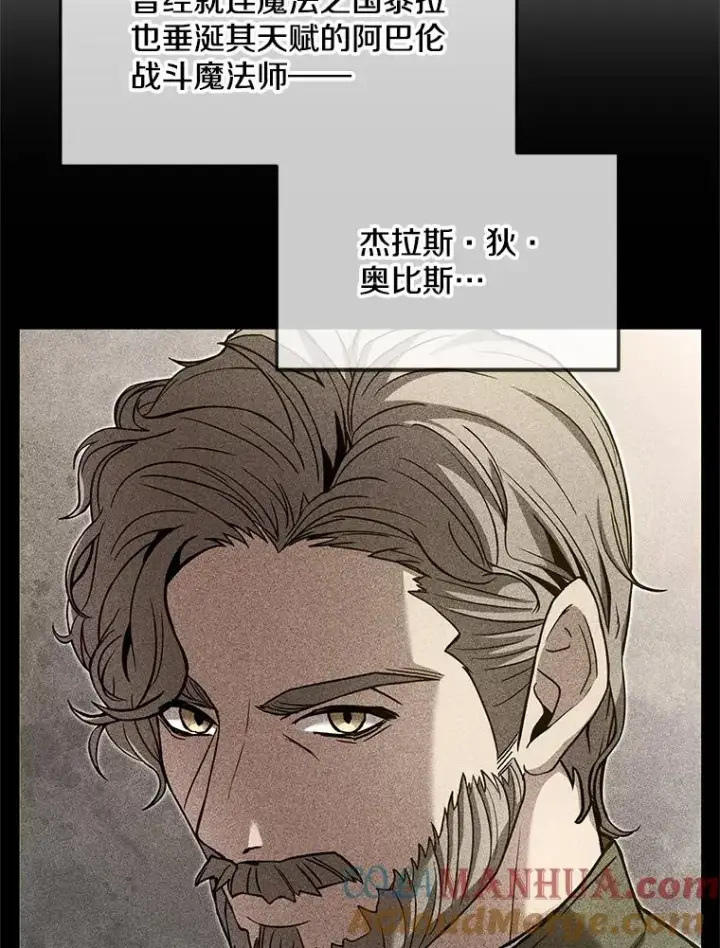《史诗级枪骑士再临》67.战斗魔法师图101