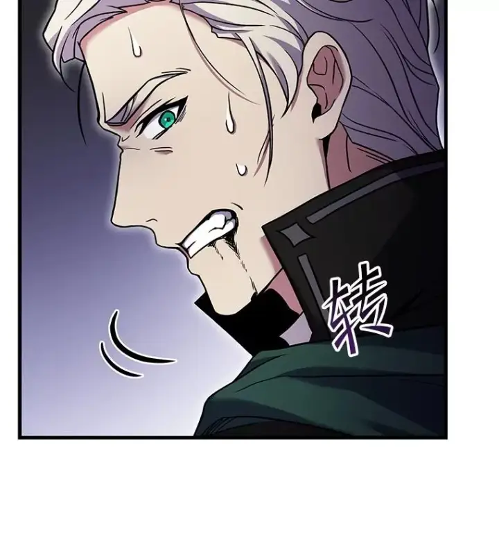 《史诗级枪骑士再临》67.战斗魔法师图127