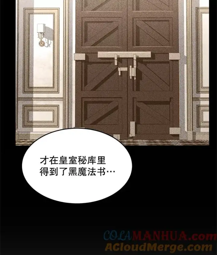 《史诗级枪骑士再临》67.战斗魔法师图133