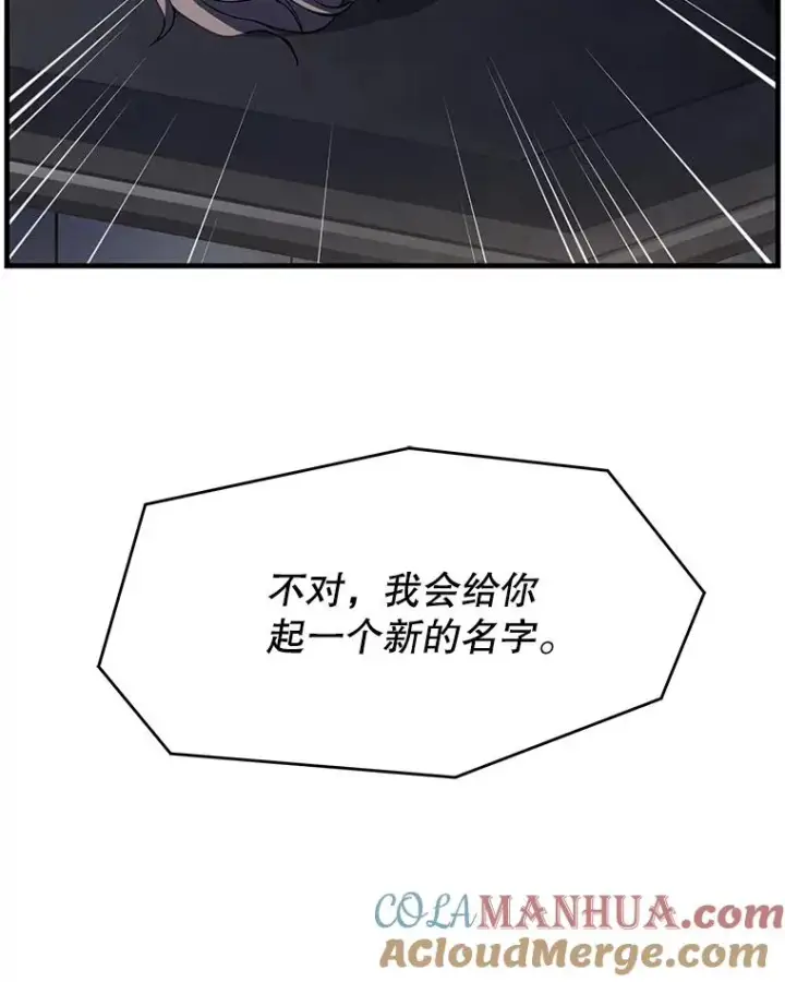 《史诗级枪骑士再临》67.战斗魔法师图141