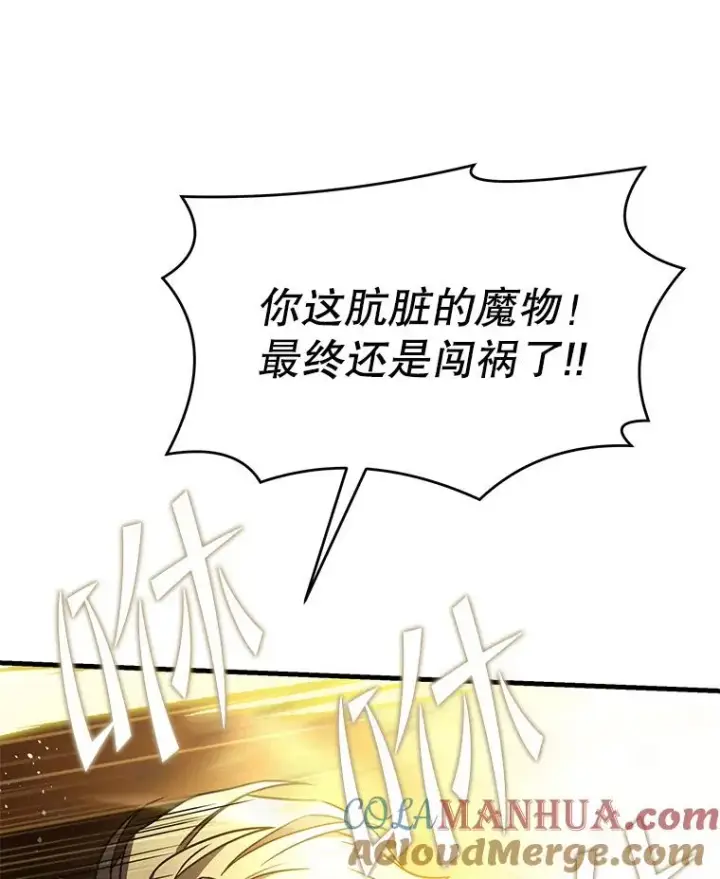 《史诗级枪骑士再临》67.战斗魔法师图5