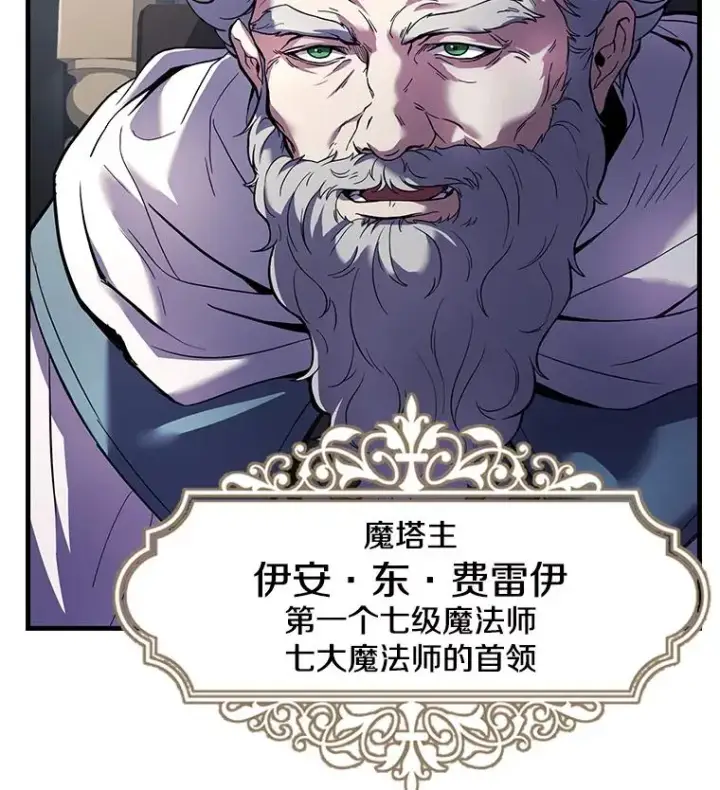 《史诗级枪骑士再临》67.战斗魔法师图83