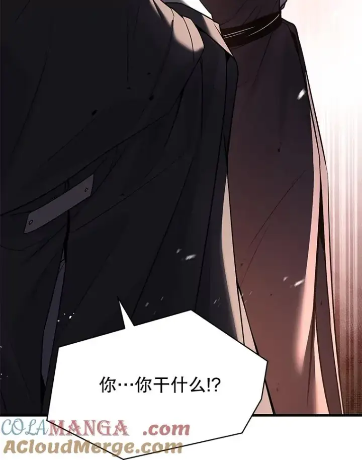 《史诗级枪骑士再临》126.战火纷飞图197