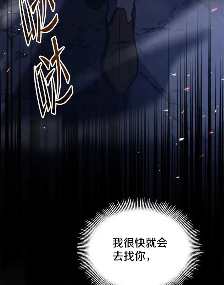 《史诗级枪骑士再临》133.成功在即图218