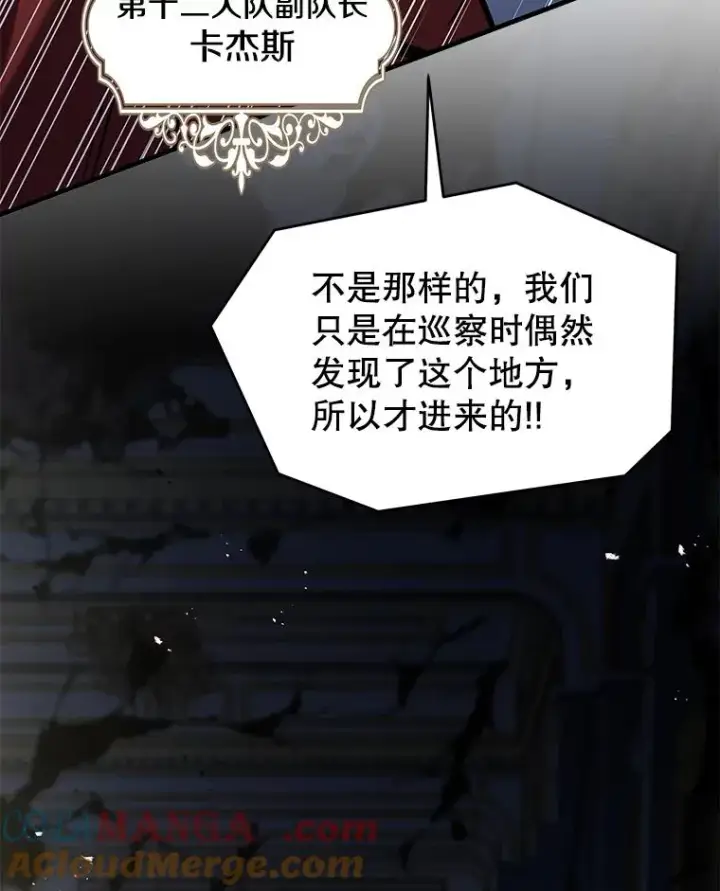 《史诗级枪骑士再临》134.真假标志图149