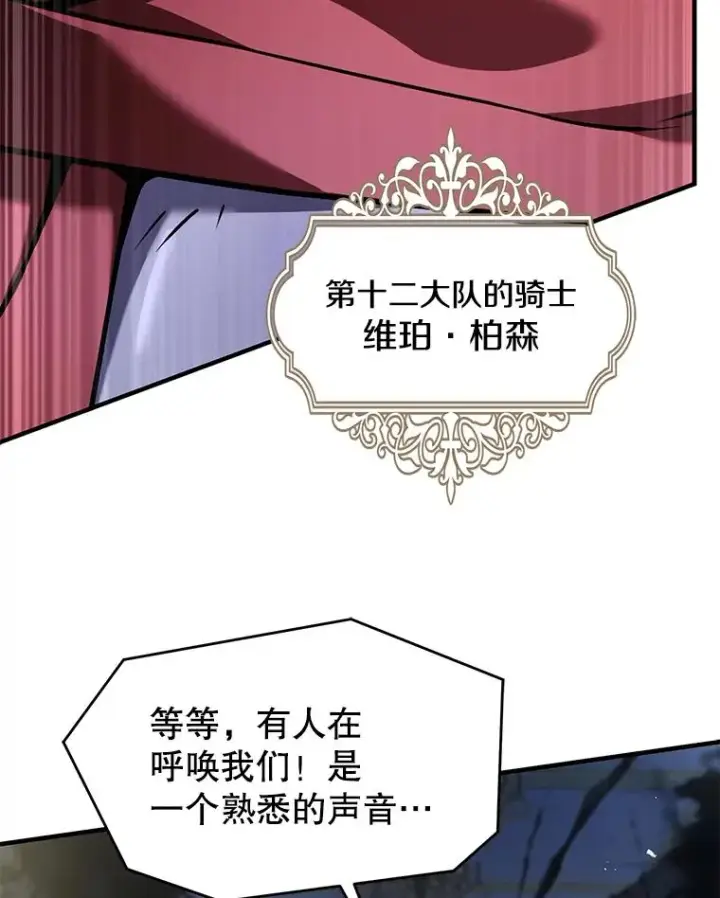 《史诗级枪骑士再临》134.真假标志图170