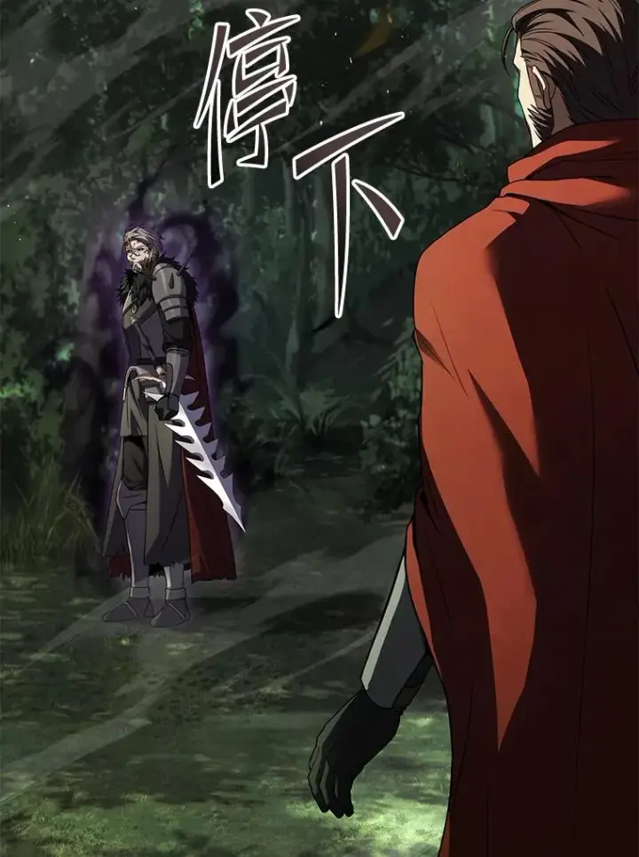 《史诗级枪骑士再临》134.真假标志图184