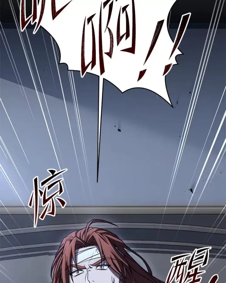 《史诗级枪骑士再临》78.新任莱因哈特之王图31