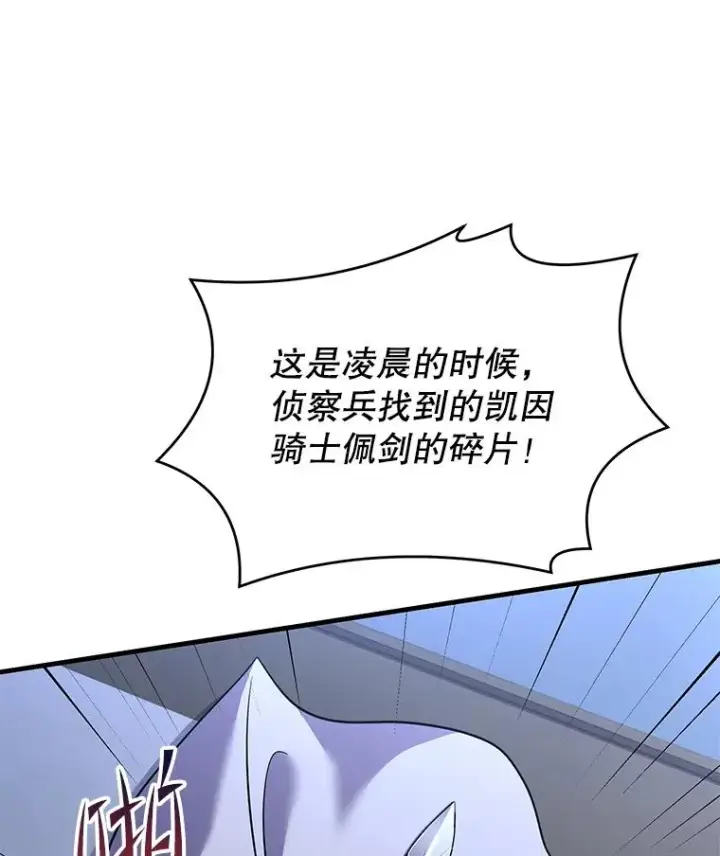 《史诗级枪骑士再临》79.间谍图74