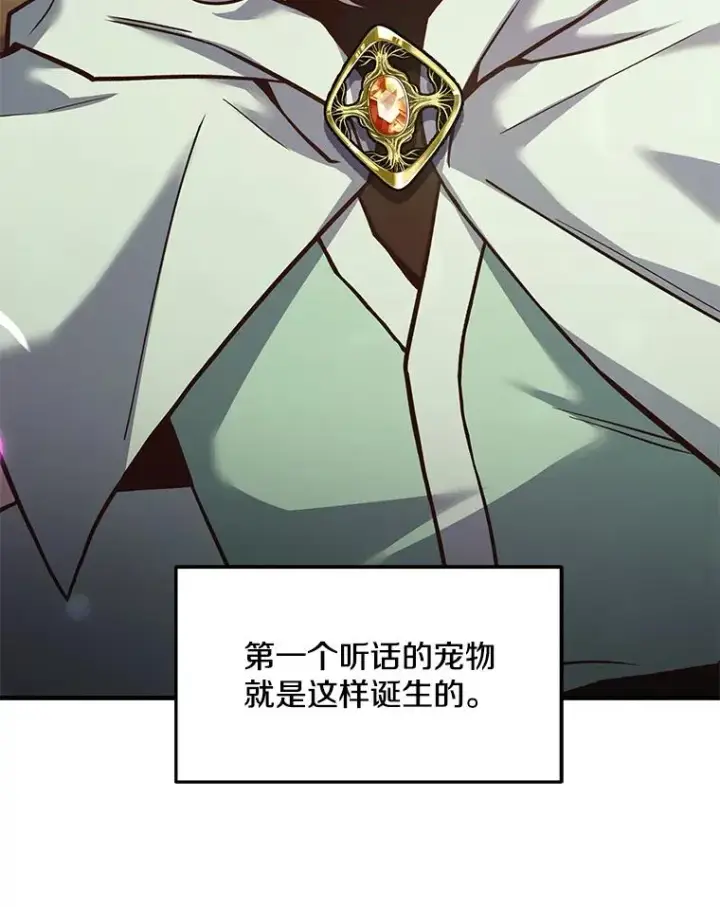 《史诗级枪骑士再临》92.第一个宠物图172