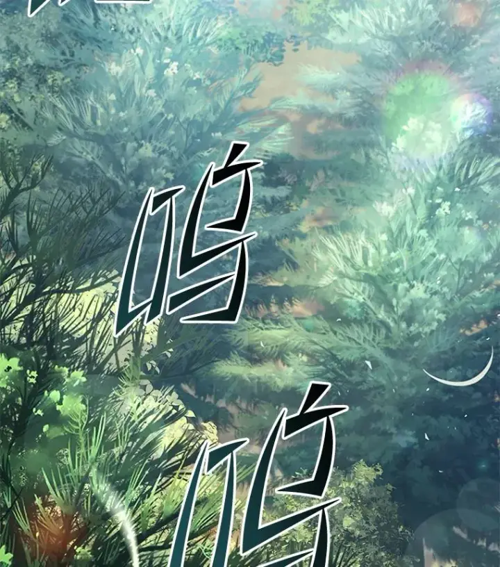《史诗级枪骑士再临》92.第一个宠物图50