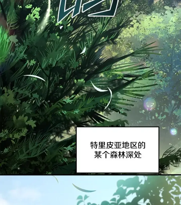 《史诗级枪骑士再临》92.第一个宠物图51