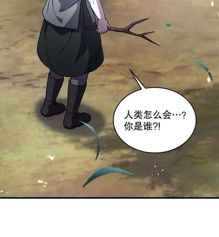 《史诗级枪骑士再临》92.第一个宠物图58