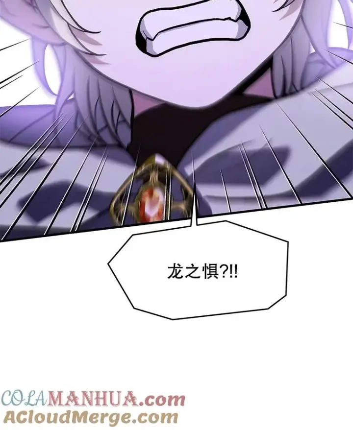 《史诗级枪骑士再临》92.第一个宠物图93