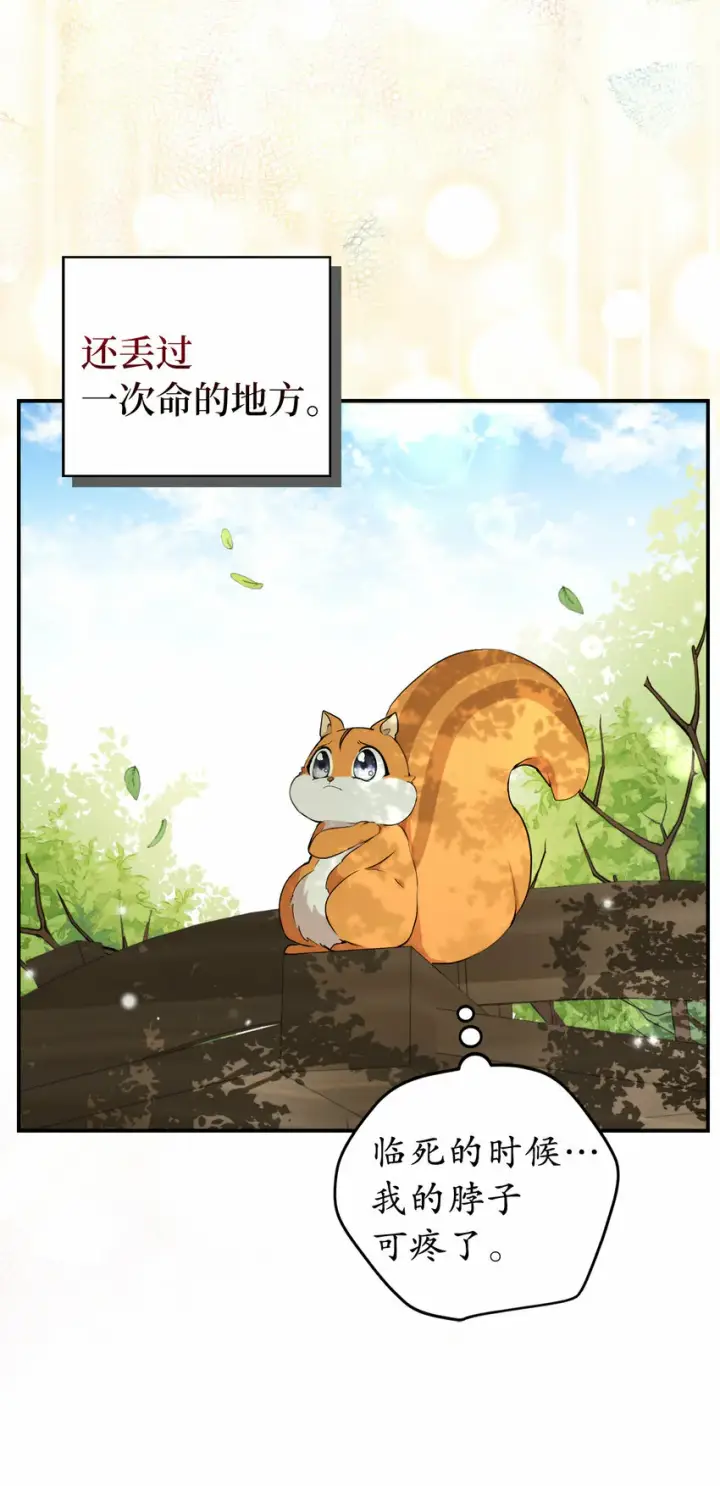 《狮子公爵家的松鼠千金》2 可恶的叛徒图69