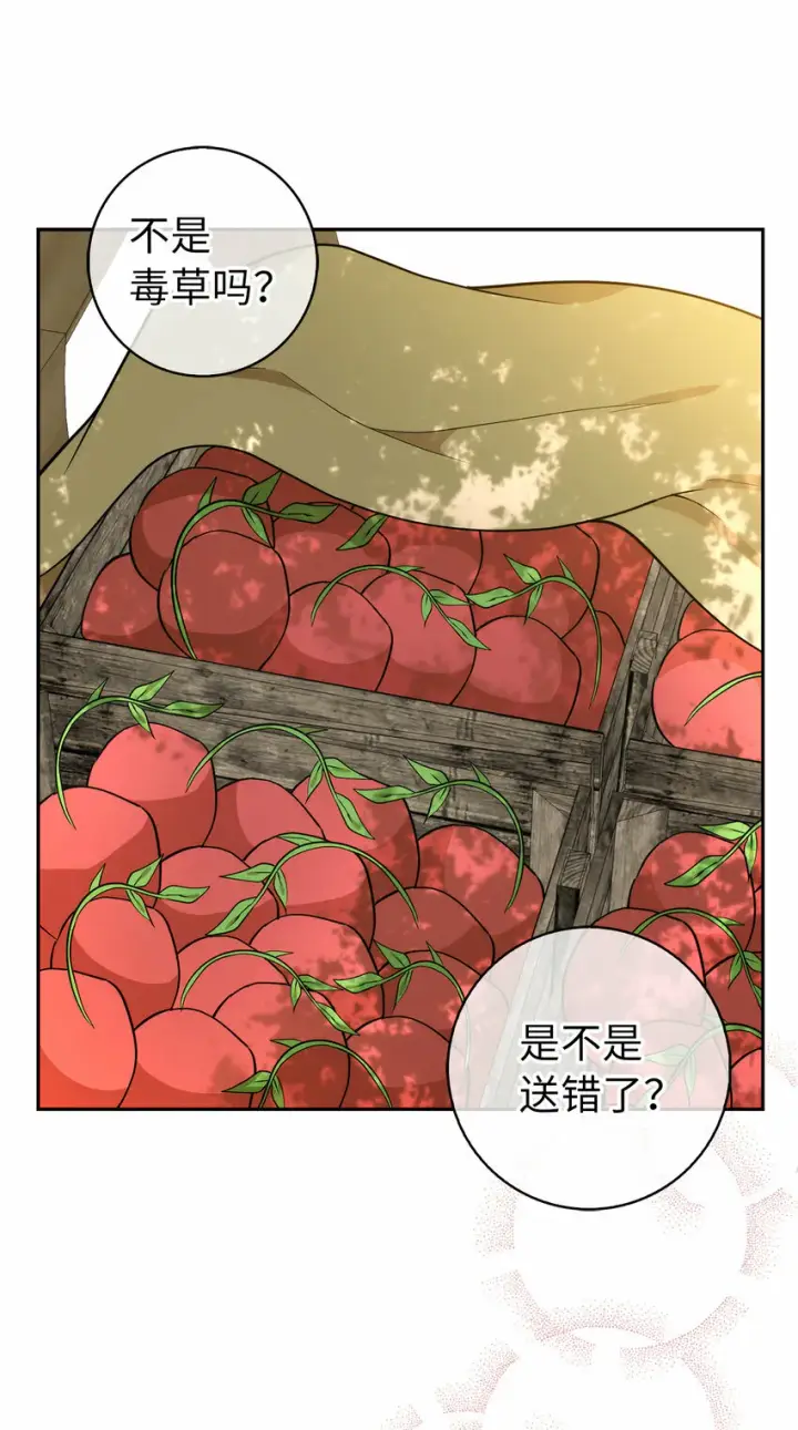 《狮子公爵家的松鼠千金》9 小松鼠的锦囊妙计图45