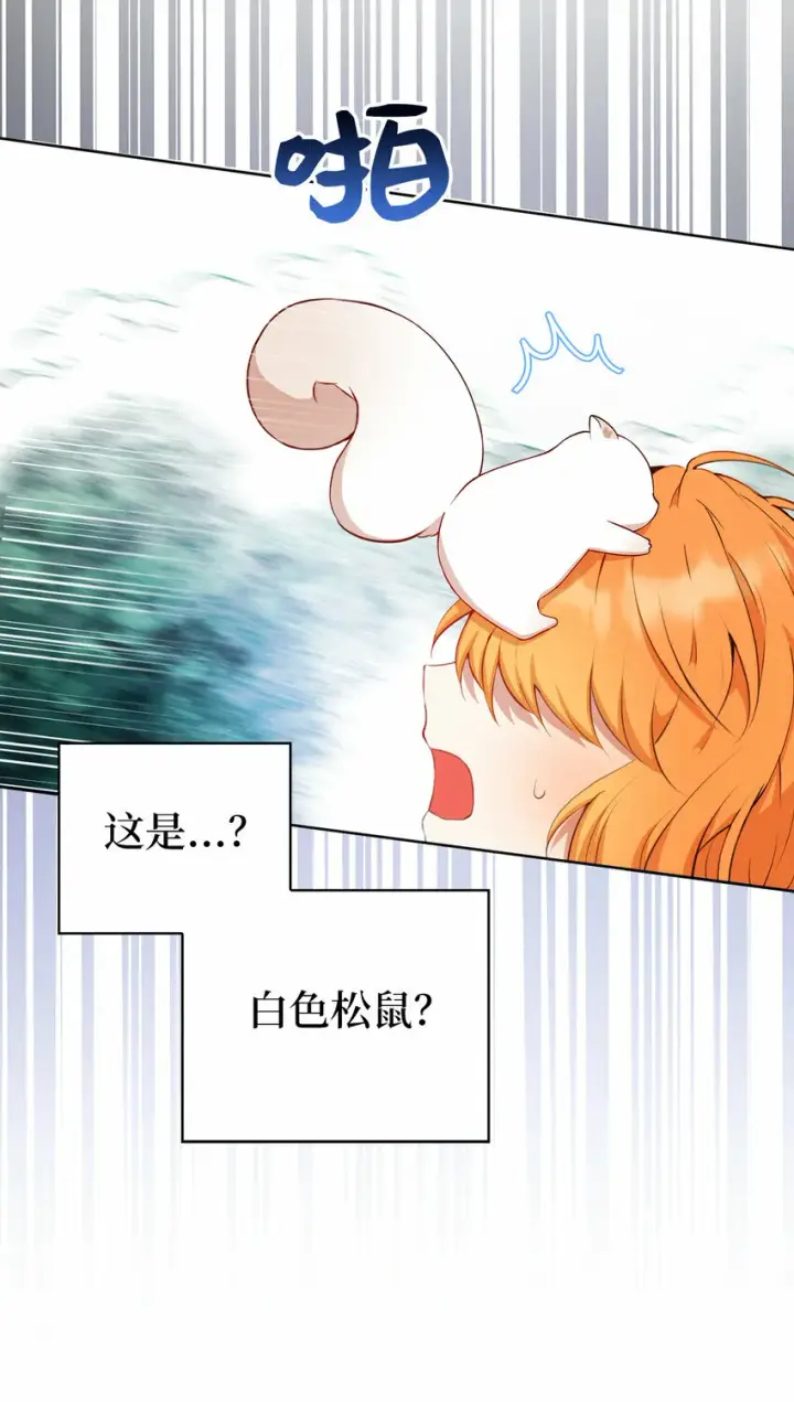 《狮子公爵家的松鼠千金》12 小姐被魔兽抓走了？图70