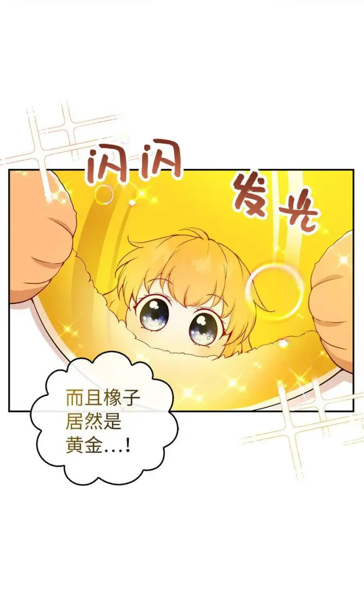 《狮子公爵家的松鼠千金》21 被误解的礼物图11