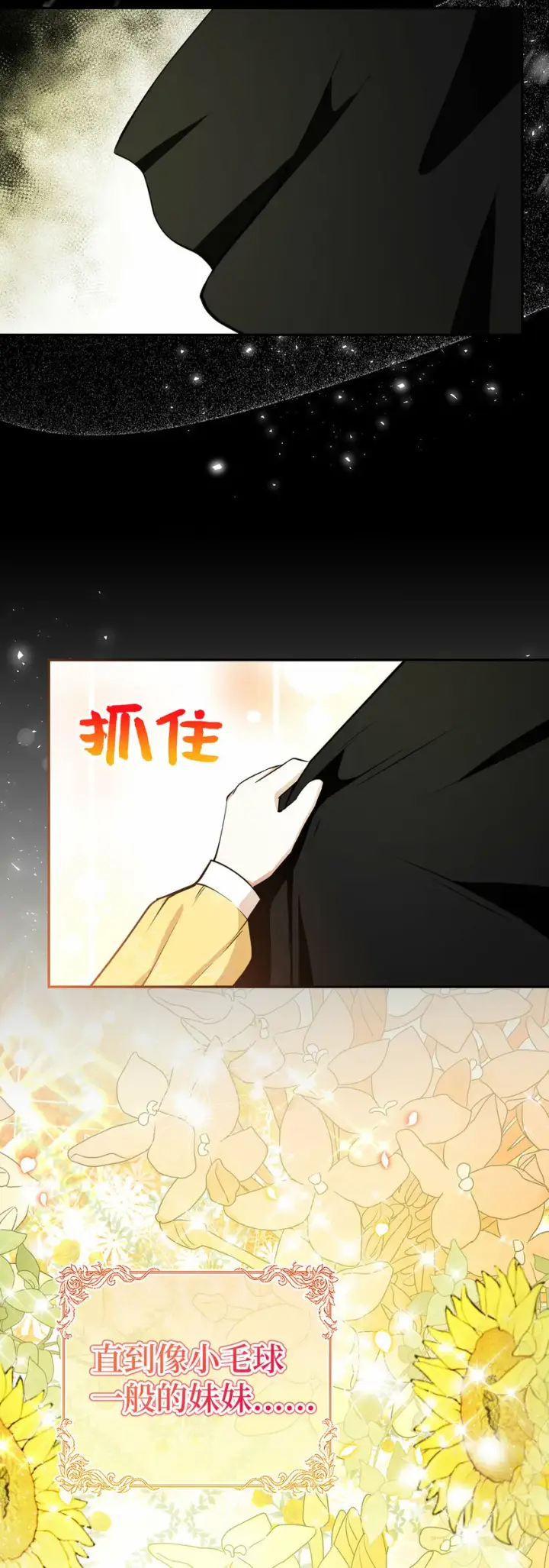 《狮子公爵家的松鼠千金》29 小毛球一般的妹妹图10