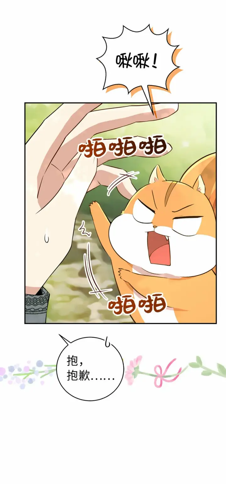 《狮子公爵家的松鼠千金》29 小毛球一般的妹妹图36