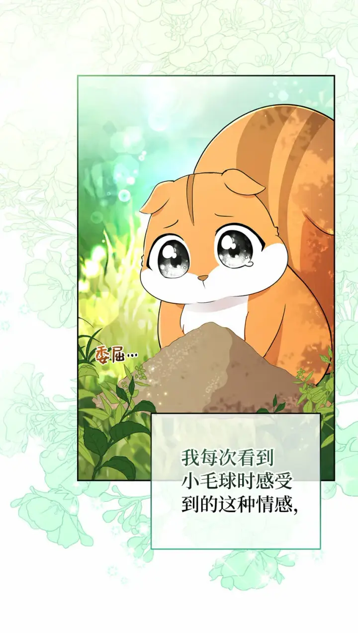 《狮子公爵家的松鼠千金》29 小毛球一般的妹妹图47