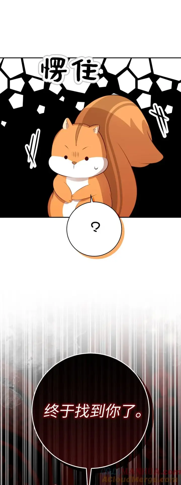 《狮子公爵家的松鼠千金》52 小松鼠的小秘密图40