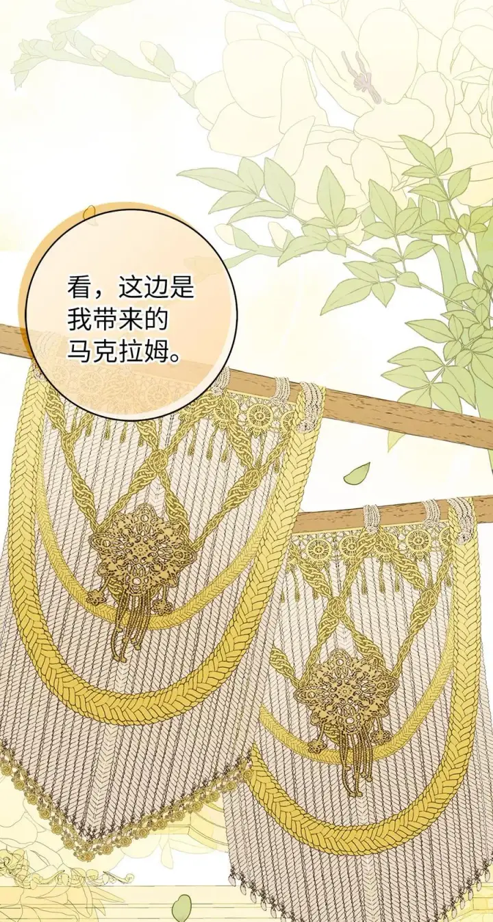 《狮子公爵家的松鼠千金》58 商铺正式开业图62