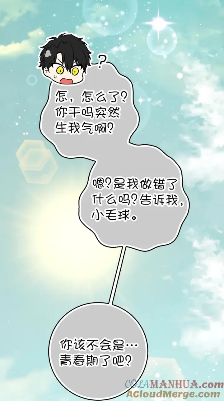 《狮子公爵家的松鼠千金》61 帅气的宣示仪式图76