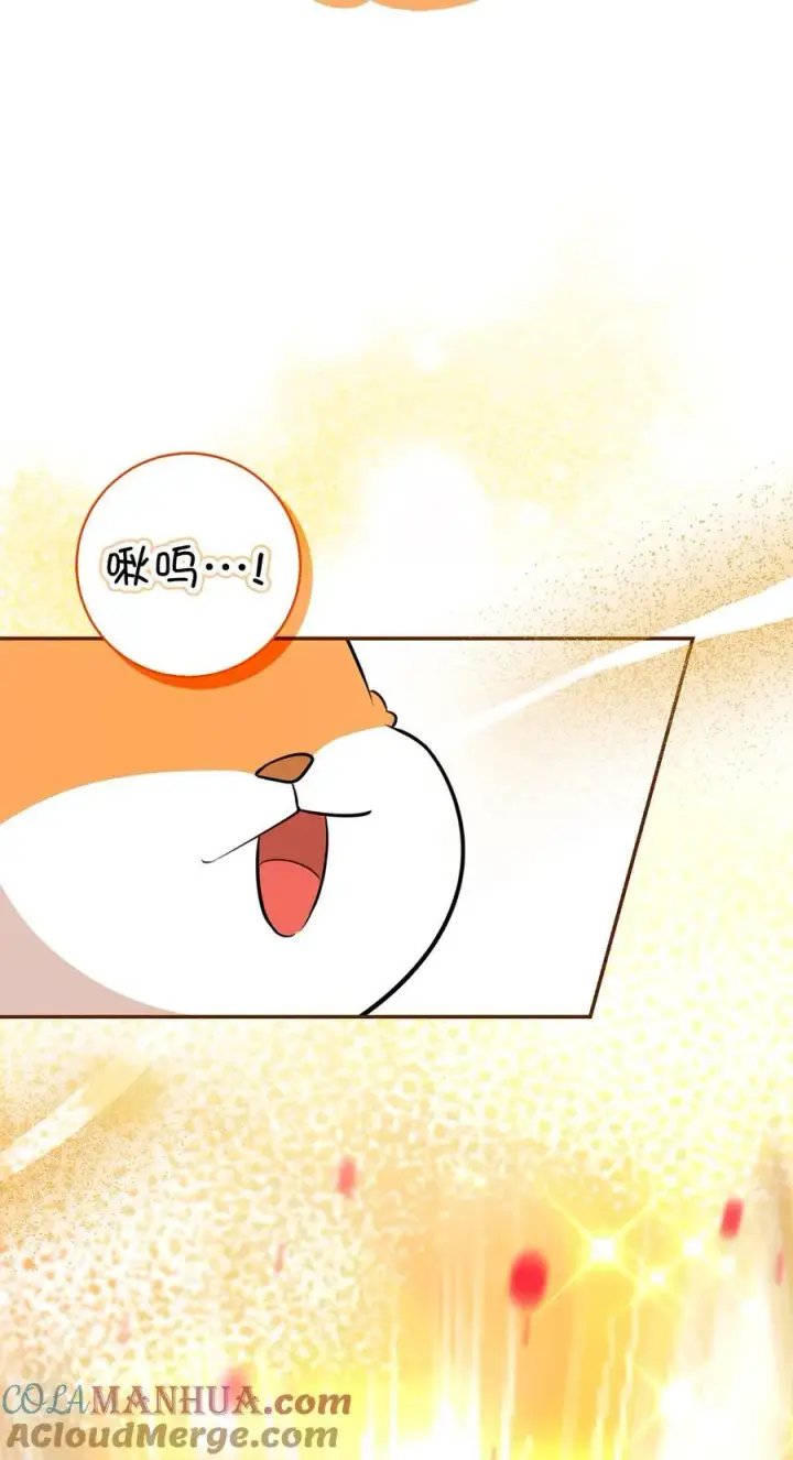 《狮子公爵家的松鼠千金》62 第一次觉醒图25