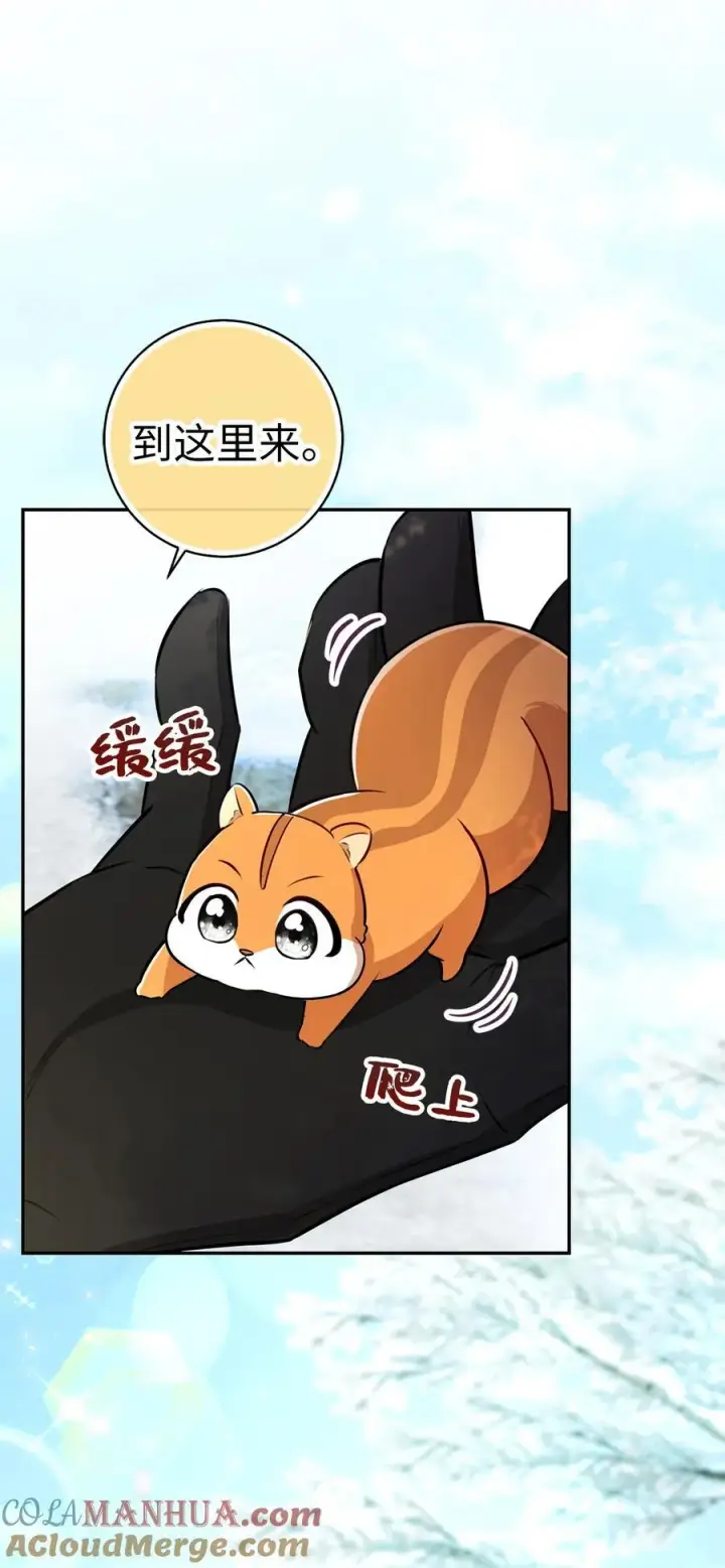 《狮子公爵家的松鼠千金》62 第一次觉醒图31