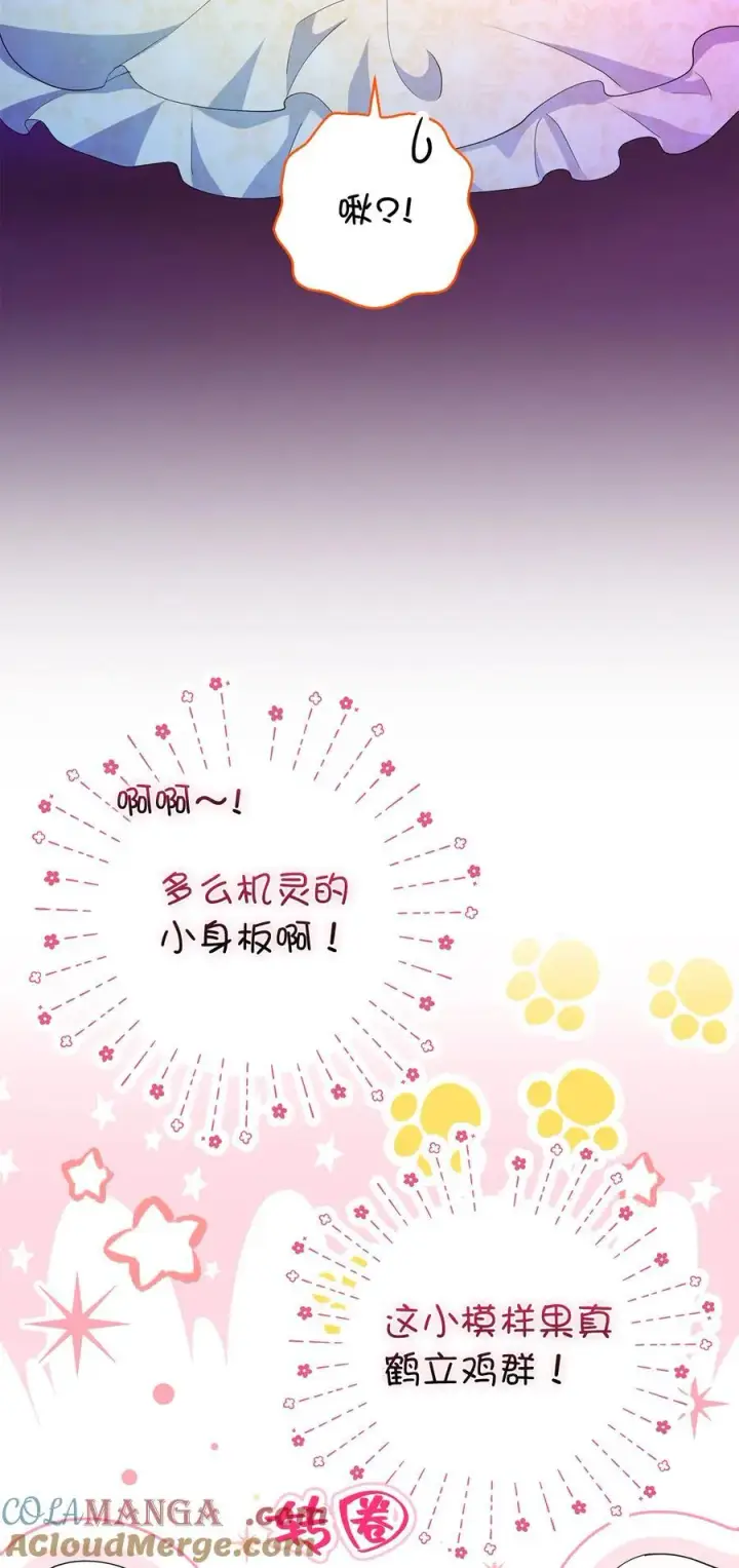 《狮子公爵家的松鼠千金》74 松鼠兽人的能力图16