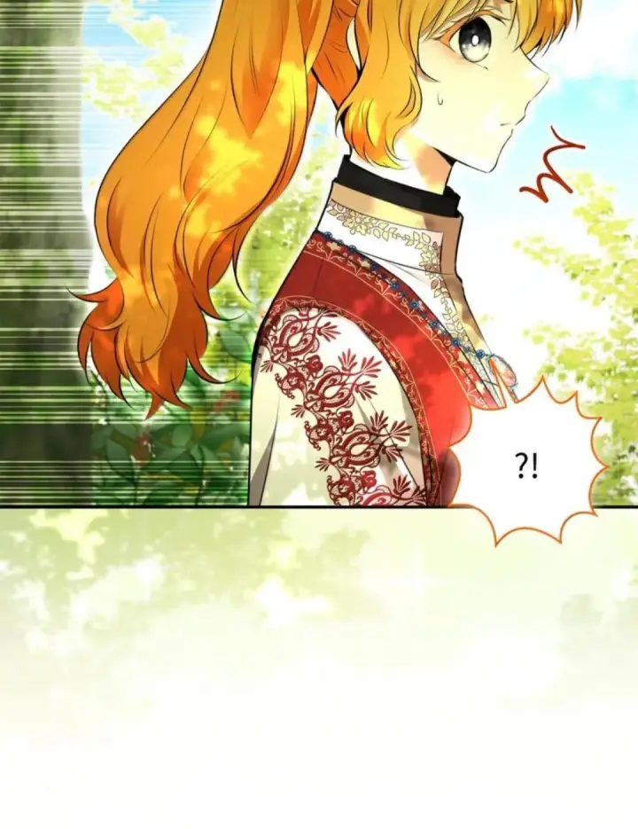 《狮子公爵家的松鼠千金》103 这就是他逐个击败计划吗？图65