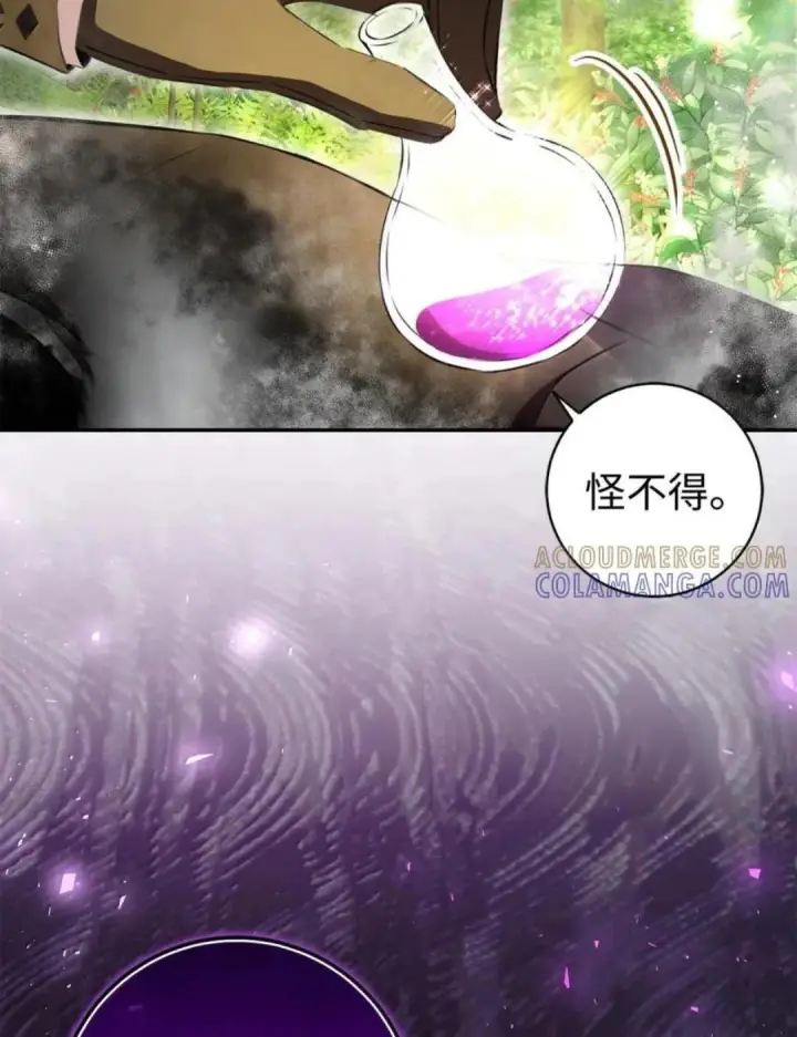 《狮子公爵家的松鼠千金》103 这就是他逐个击败计划吗？图88