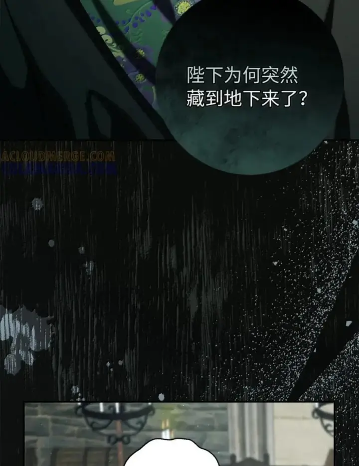 《狮子公爵家的松鼠千金》104 小姐被劫走了！图101