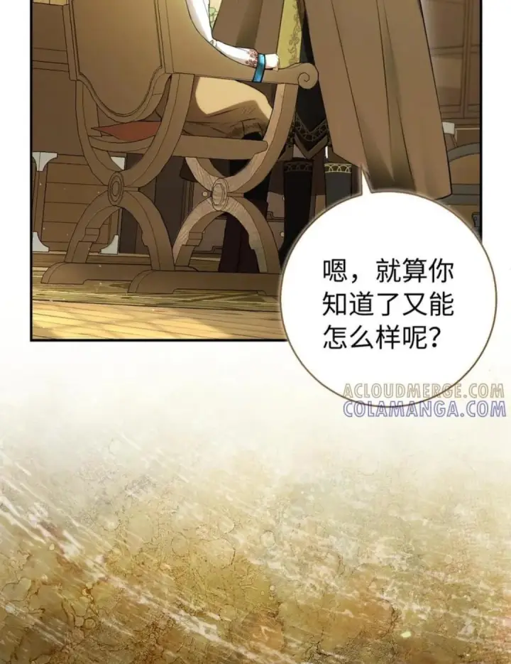 《狮子公爵家的松鼠千金》104 小姐被劫走了！图30