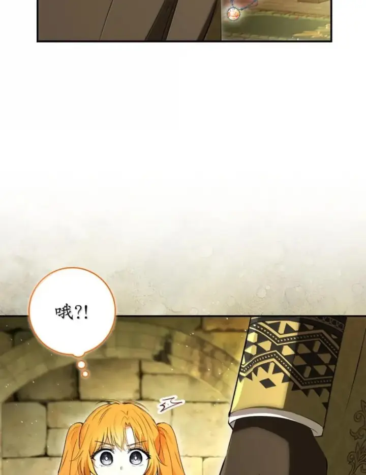 《狮子公爵家的松鼠千金》104 小姐被劫走了！图35