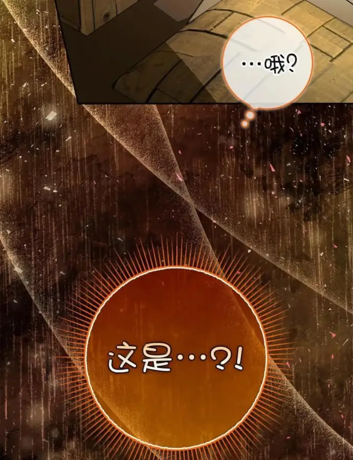 《狮子公爵家的松鼠千金》104 小姐被劫走了！图86