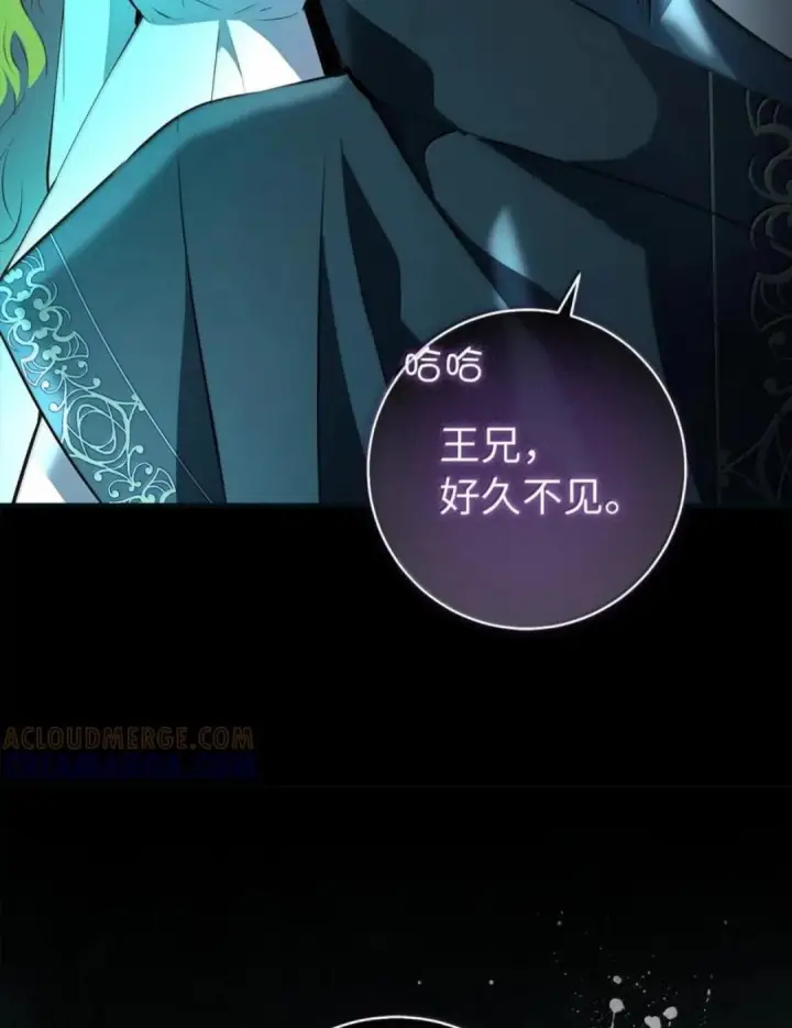 《狮子公爵家的松鼠千金》108 竟敢伤害我的星星图15