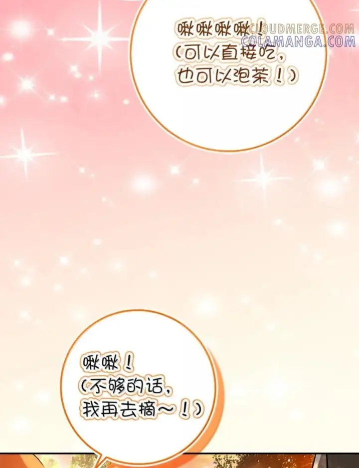 《狮子公爵家的松鼠千金》113 不许吼泰尔！图34