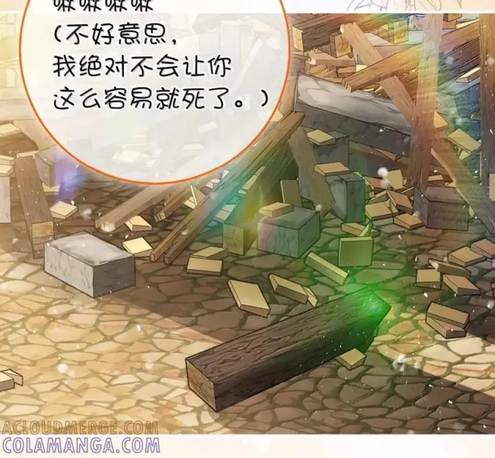 《狮子公爵家的松鼠千金》117 我要跟你同归于尽图213